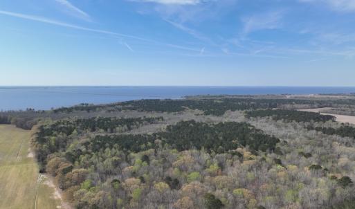 Photo #42 of 500 Indian Trail Road, Edenton, NC 963.8 acres