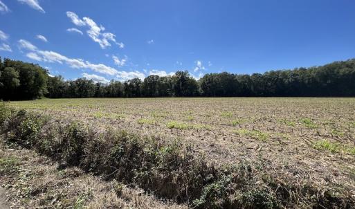 Photo #43 of 500 Indian Trail Road, Edenton, NC 963.8 acres
