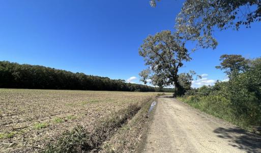 Photo #44 of 500 Indian Trail Road, Edenton, NC 963.8 acres