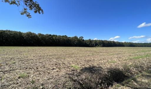 Photo #45 of 500 Indian Trail Road, Edenton, NC 963.8 acres