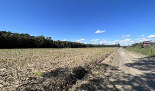 Photo #46 of 500 Indian Trail Road, Edenton, NC 963.8 acres