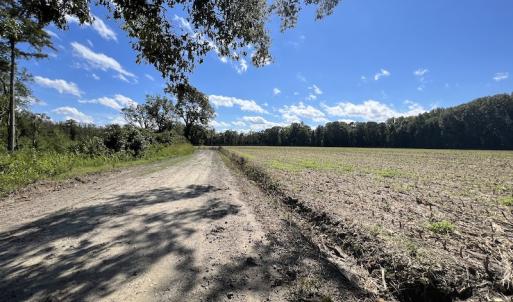 Photo #47 of 500 Indian Trail Road, Edenton, NC 963.8 acres