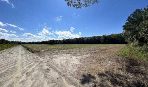 Photo #48 of 500 Indian Trail Road, Edenton, NC 963.8 acres