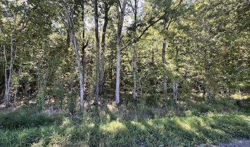 Photo #50 of 500 Indian Trail Road, Edenton, NC 963.8 acres