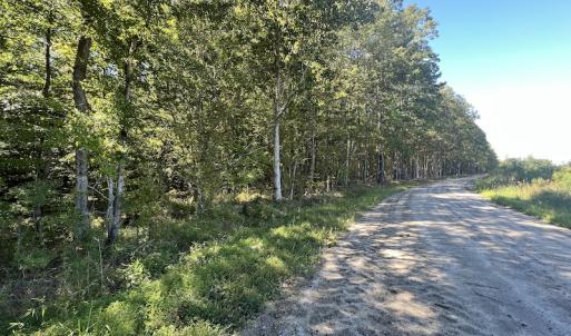 Photo #51 of 500 Indian Trail Road, Edenton, NC 963.8 acres