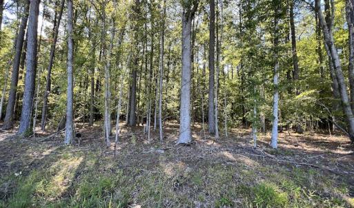 Photo #52 of 500 Indian Trail Road, Edenton, NC 963.8 acres