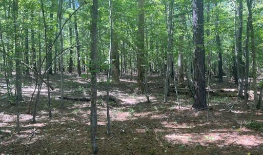 Photo #54 of 500 Indian Trail Road, Edenton, NC 963.8 acres