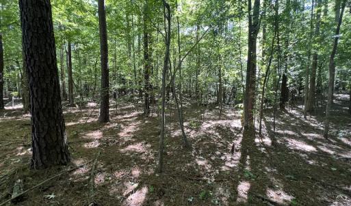 Photo #55 of 500 Indian Trail Road, Edenton, NC 963.8 acres