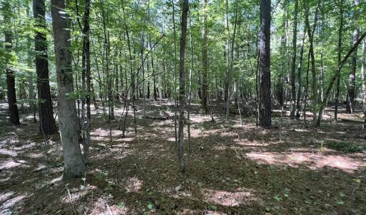 Photo #56 of 500 Indian Trail Road, Edenton, NC 963.8 acres