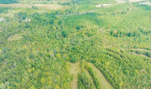 Photo #8 of SOLD property in Off Rascoe Dameron Road , Burlington, NC 10.9 acres