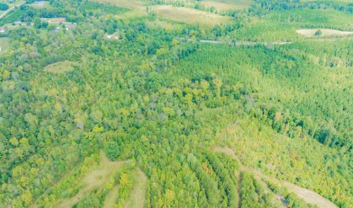 Photo #9 of SOLD property in Off Rascoe Dameron Road , Burlington, NC 10.9 acres