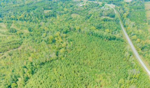 Photo #10 of SOLD property in Off Rascoe Dameron Road , Burlington, NC 10.9 acres