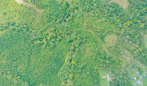 Photo #12 of SOLD property in Off Rascoe Dameron Road , Burlington, NC 10.9 acres