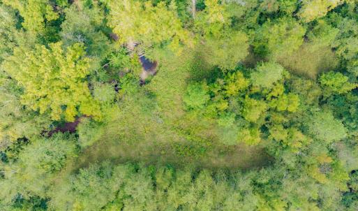 Photo #14 of SOLD property in Off Rascoe Dameron Road , Burlington, NC 10.9 acres