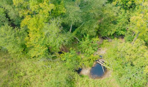 Photo #15 of SOLD property in Off Rascoe Dameron Road , Burlington, NC 10.9 acres