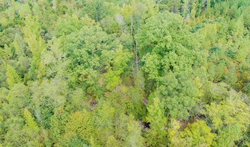Photo #16 of SOLD property in Off Rascoe Dameron Road , Burlington, NC 10.9 acres