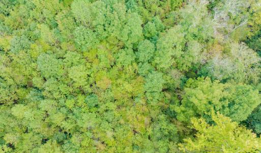 Photo #18 of SOLD property in Off Rascoe Dameron Road , Burlington, NC 10.9 acres