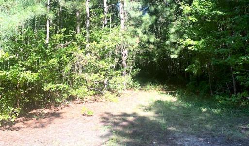 Photo #16 of SOLD property in Off Cabin Point Road, Disputanta, VA 15.0 acres
