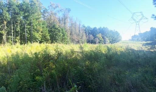 Photo #23 of SOLD property in Off Cabin Point Road, Disputanta, VA 15.0 acres