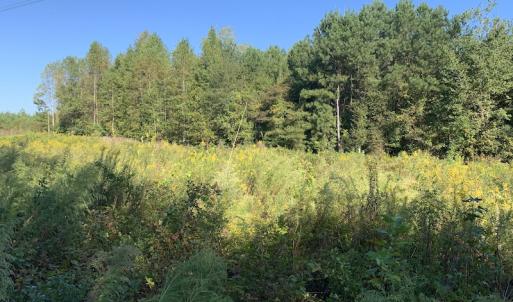 Photo #24 of SOLD property in Off Cabin Point Road, Disputanta, VA 15.0 acres