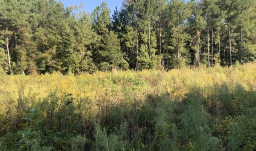 Photo #25 of SOLD property in Off Cabin Point Road, Disputanta, VA 15.0 acres