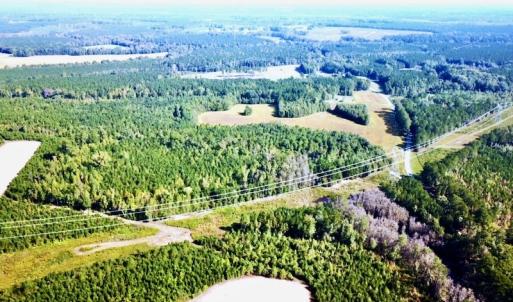 Photo #33 of SOLD property in Off Cabin Point Road, Disputanta, VA 15.0 acres