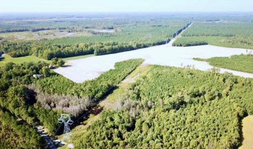 Photo #36 of SOLD property in Off Cabin Point Road, Disputanta, VA 15.0 acres
