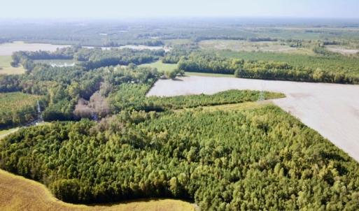 Photo #37 of SOLD property in Off Cabin Point Road, Disputanta, VA 15.0 acres