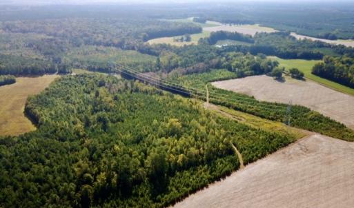 Photo #38 of SOLD property in Off Cabin Point Road, Disputanta, VA 15.0 acres