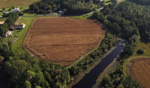 Photo #10 of SOLD property in 945 Hardesty Loop Road, Newport, NC 44.5 acres