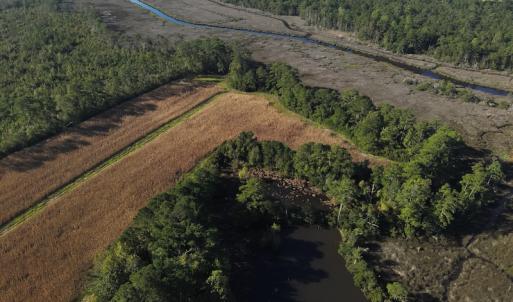 Photo #12 of SOLD property in 945 Hardesty Loop Road, Newport, NC 44.5 acres