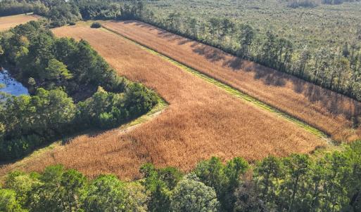 Photo #14 of SOLD property in 945 Hardesty Loop Road, Newport, NC 44.5 acres