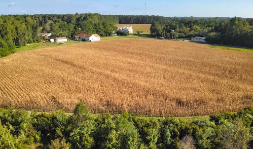 Photo #16 of SOLD property in 945 Hardesty Loop Road, Newport, NC 44.5 acres