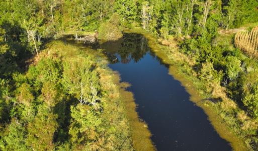 Photo #17 of SOLD property in 945 Hardesty Loop Road, Newport, NC 44.5 acres