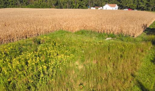 Photo #21 of SOLD property in 945 Hardesty Loop Road, Newport, NC 44.5 acres