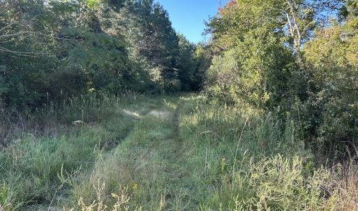 Photo #22 of SOLD property in 945 Hardesty Loop Road, Newport, NC 44.5 acres