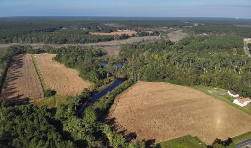 Photo #3 of SOLD property in 945 Hardesty Loop Road, Newport, NC 44.5 acres