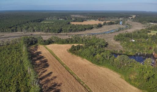 Photo #4 of SOLD property in 945 Hardesty Loop Road, Newport, NC 44.5 acres