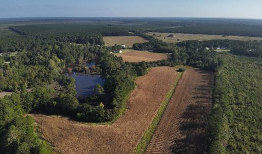 Photo #7 of SOLD property in 945 Hardesty Loop Road, Newport, NC 44.5 acres