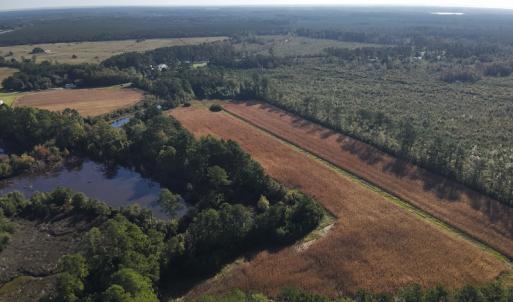 Photo #8 of SOLD property in 945 Hardesty Loop Road, Newport, NC 44.5 acres