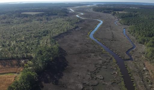 Photo #9 of SOLD property in 945 Hardesty Loop Road, Newport, NC 44.5 acres