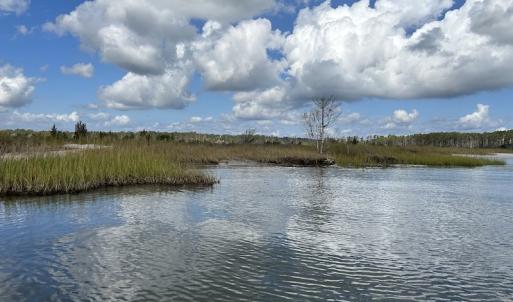 Photo #13 of SOLD property in Off Styron Creek Road, Sealevel, NC 105.0 acres
