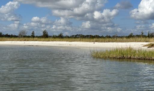 Photo #14 of SOLD property in Off Styron Creek Road, Sealevel, NC 105.0 acres