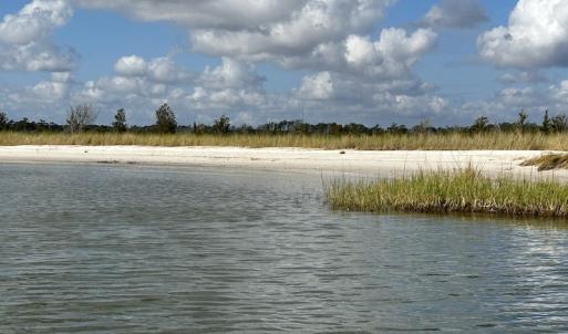 Photo #15 of SOLD property in Off Styron Creek Road, Sealevel, NC 105.0 acres