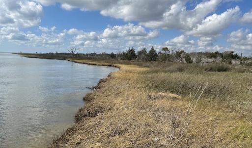Photo #16 of SOLD property in Off Styron Creek Road, Sealevel, NC 105.0 acres