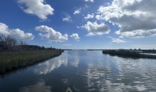 Photo #20 of SOLD property in Off Styron Creek Road, Sealevel, NC 105.0 acres