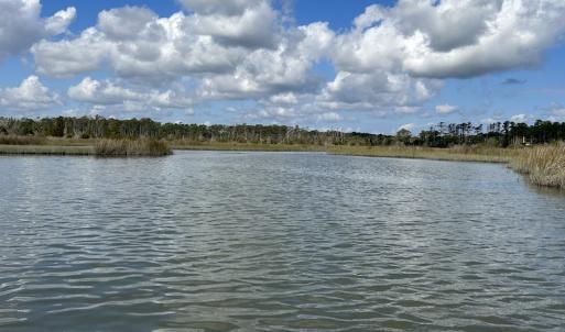 Photo #24 of SOLD property in Off Styron Creek Road, Sealevel, NC 105.0 acres