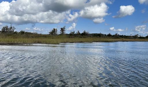 Photo #25 of SOLD property in Off Styron Creek Road, Sealevel, NC 105.0 acres