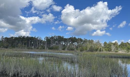 Photo #27 of SOLD property in Off Styron Creek Road, Sealevel, NC 105.0 acres