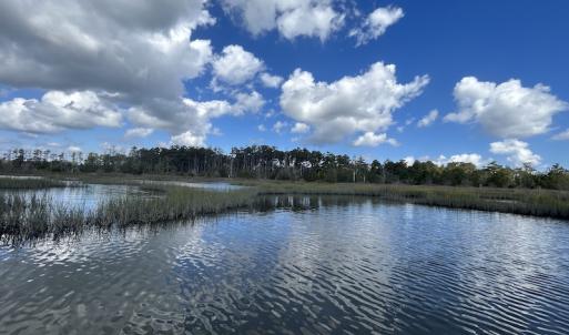 Photo #28 of SOLD property in Off Styron Creek Road, Sealevel, NC 105.0 acres